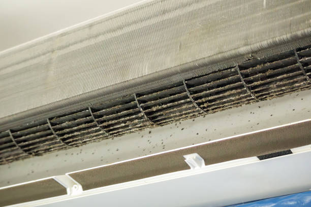 Best Emergency Air Duct Cleaning  in Brown City, MI